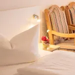 Akzenthaus Alpenrose 3* نيسيلفانج