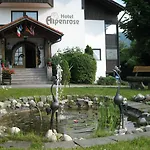 Akzenthaus Alpenrose نيسيلفانج