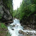 فندق Akzenthaus Alpenrose