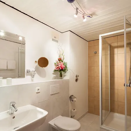 Hotel Akzenthaus Alpenrose 3*