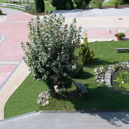 Akzent Alpenrose