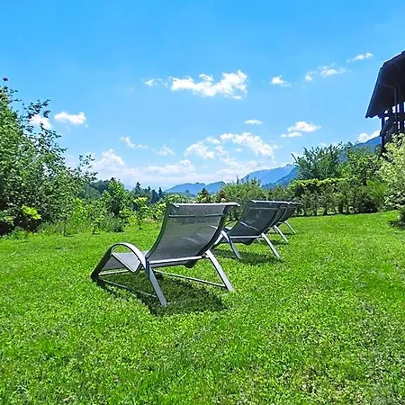 Akzent Alpenrose